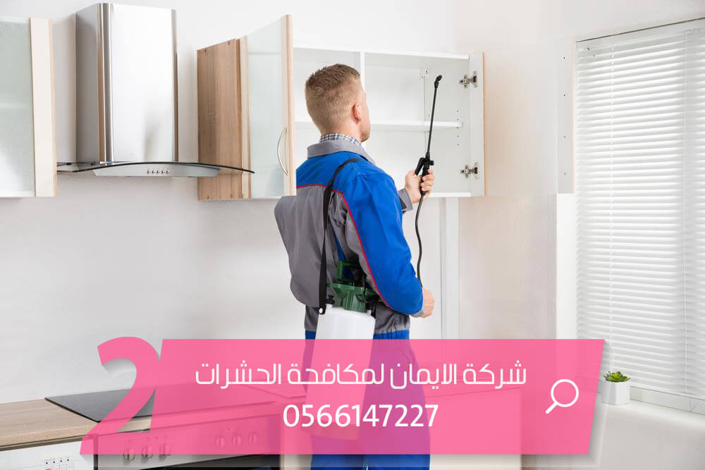 شركات مكافحة الحشرات بالاحساء